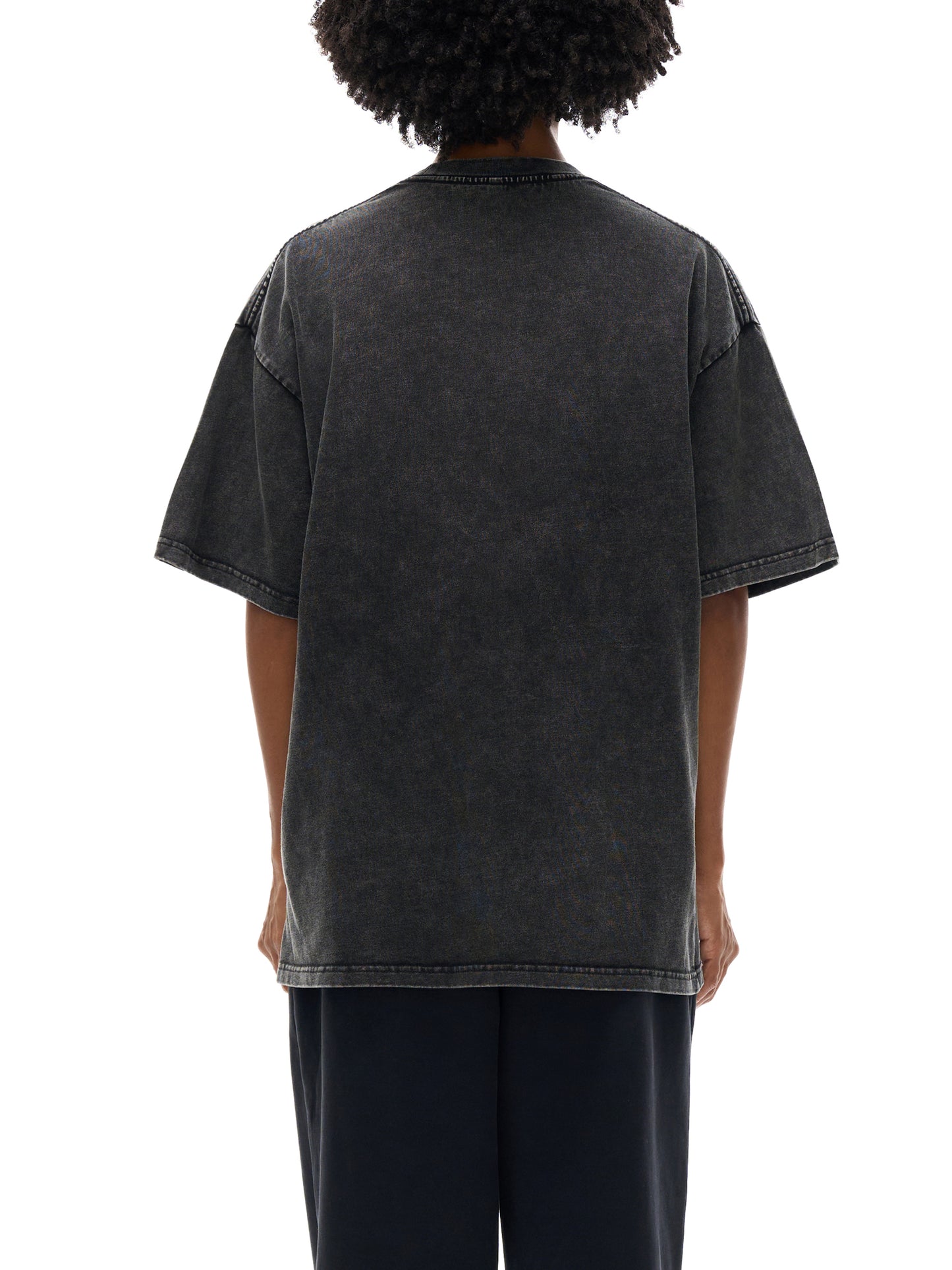 SR-71 Blackbird T-Shirt v2
